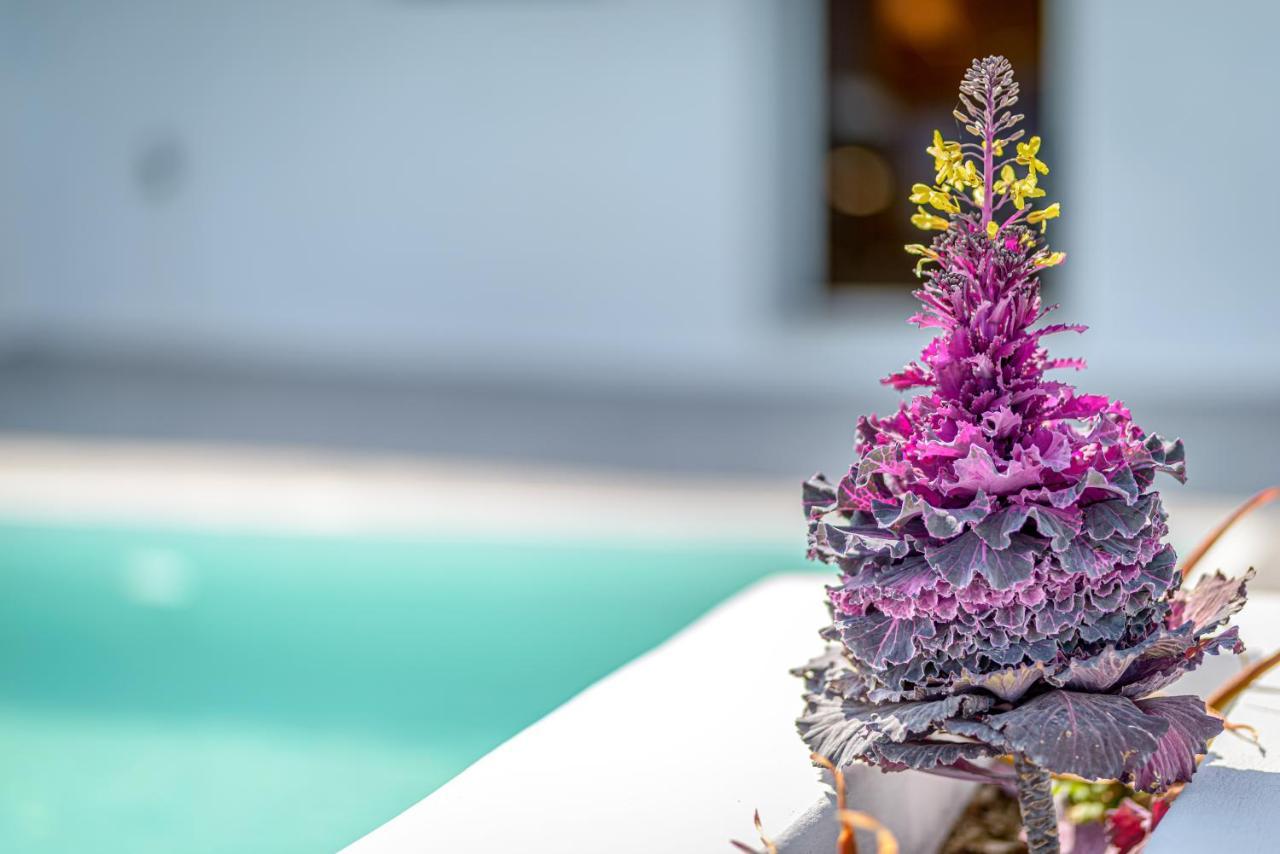 Siete Mares Luxury Suites Imerovígli Buitenkant foto